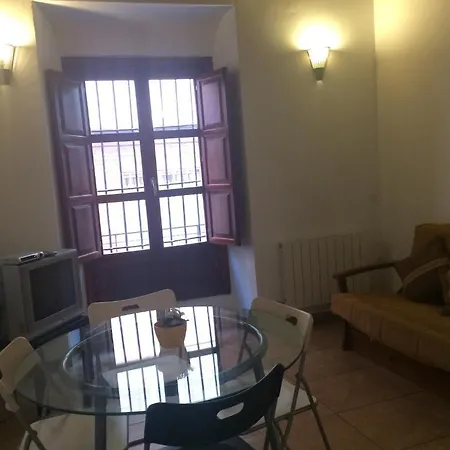 Apartment Puerta Real