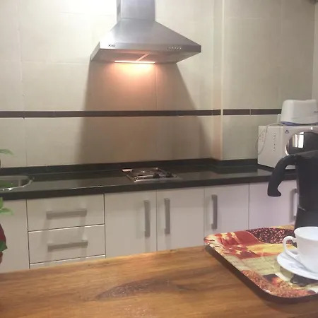 Apartment Puerta Real
